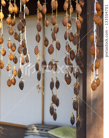 柿餅的特寫 133504781