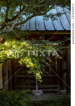 Kamakura 2511 Myohoji Temple 5 133504973