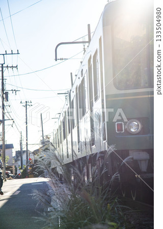 Kamakura 2511 Enoshima Electric Railway 3 Susuki Kamakura 2511 Enoshima Electric Railway 3 Susuki 133504980