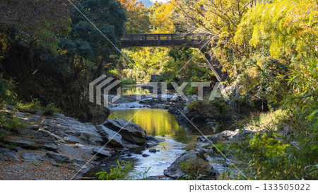Arashiyama Valley 133505022