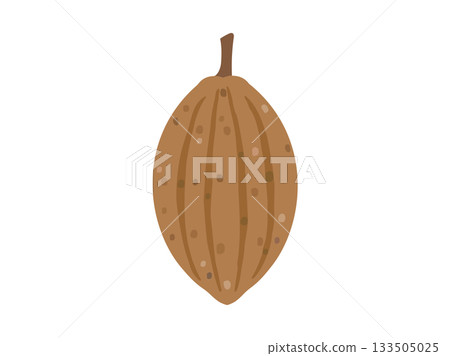 Illustration of a cacao bean Illustration of a cacao bean 133505025
