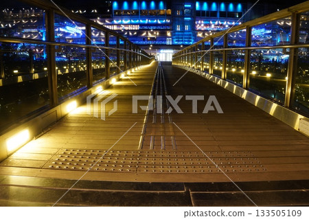 從公園入口到購物中心的台場 133505109