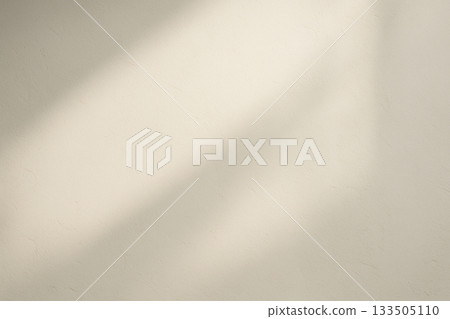 白色石膏牆背景，光線柔和，陰影朦朧。 133505110