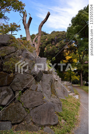 The stone wall of the Hibiya-mitsuke ruins of Edo Castle, at Hibiya Park 133505504