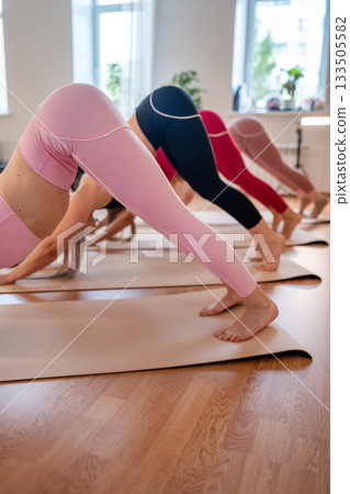 Group synchronized downward dog practice on mats with instructor guidance and flowing transitions Group synchronized downward dog practice on mats with instructor guidance and flowing transitions 133505582