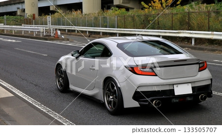 domestic sports car 133505707