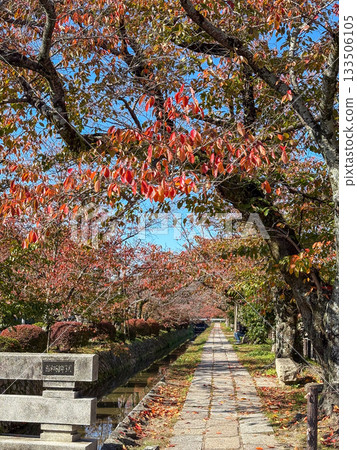 京都的秋天，鐵學之道 133506105