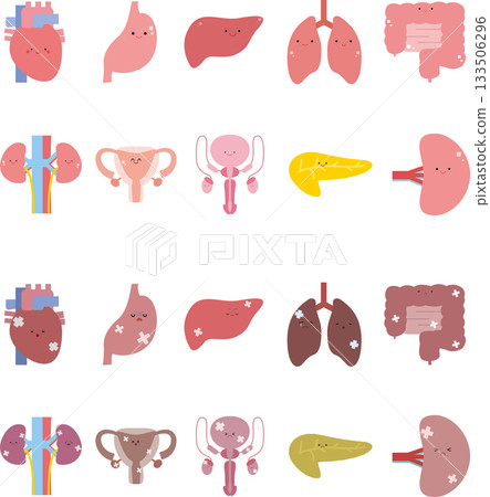 可愛的內臟器官插圖集 133506296