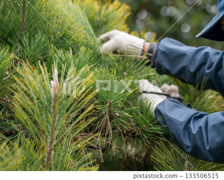 修剪 男人 男 133506515