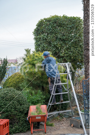 pruning, gardener, landscaper 133506529