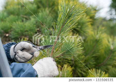 pruning, gardener, landscaper 133506535