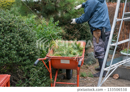 修剪 花園 院子 133506538