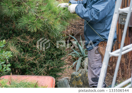 pruning, gardener, landscaper 133506544