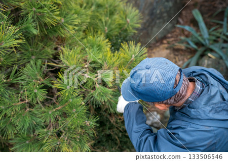 pruning, gardener, landscaper 133506546