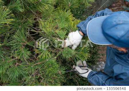 pruning, gardener, landscaper 133506548