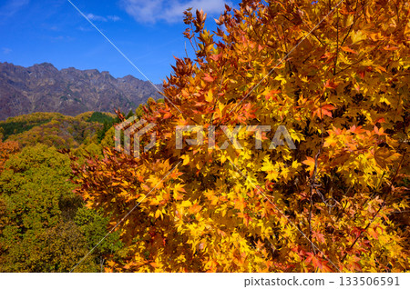 從長野市木梨縣太保峠眺望戶隱山脈西嶽，秋葉染紅了山巒。 133506591