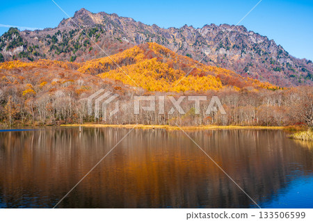 秋日的戶隱山，被紅葉染成一片。 133506599