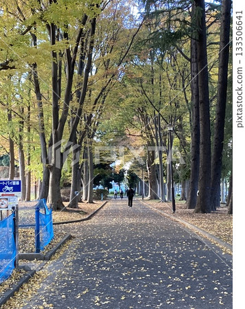 深秋公園步道 深秋公園步道 133506641