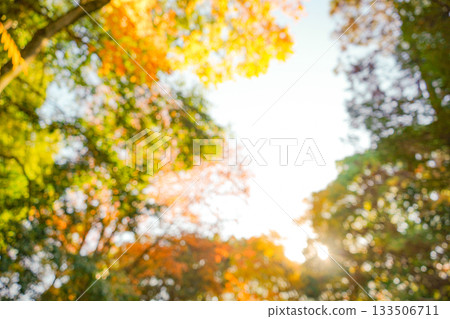 模糊的自然景觀 模糊的自然景觀 133506711