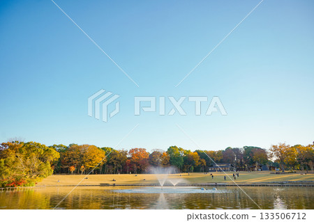 Autumn park scenery Autumn park scenery 133506712