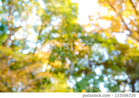 自然模糊 133506726