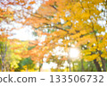 Autumn blur background 133506732