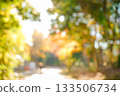 Autumn bokeh background 133506734