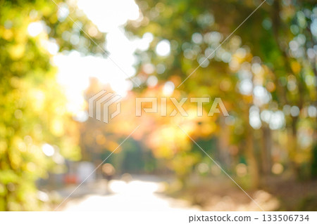 Autumn bokeh background 133506734