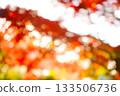 Autumn bokeh background 133506736