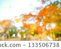 Autumn blur background 133506738