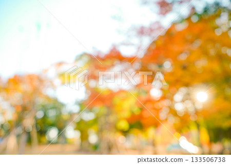 Autumn blur background Autumn blur background 133506738