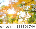 Autumn blur background 133506740