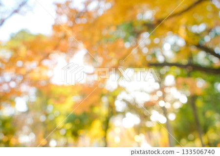 秋季模糊背景 秋季模糊背景 133506740