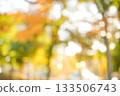 Autumn bokeh background 133506743