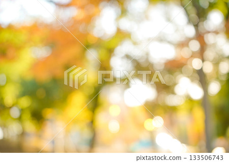 秋季散景背景 秋季散景背景 133506743