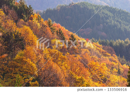 251106 Norikura Youth House g619 133506916