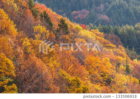 251106乘倉青年之家G626 251106乘倉青年之家G626 133506918