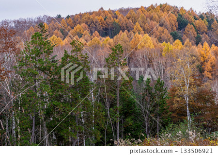 251106 乘倉青年之家 m616 133506921