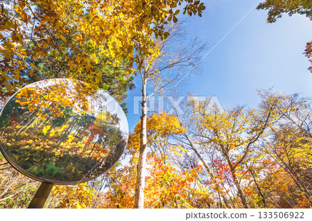 251106 Norikura Youth House s028 133506922