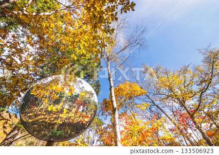 251106 乘倉青年之家 s031 133506923