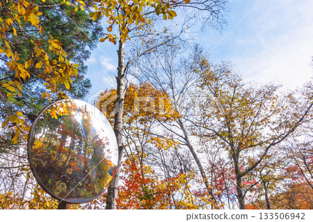 251106 乘鞍青年之家 z100 133506942