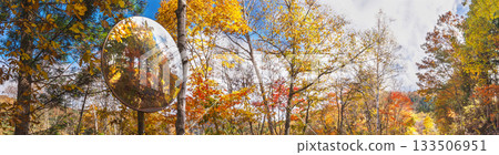 251106乘倉青年之家z208-214P 133506951