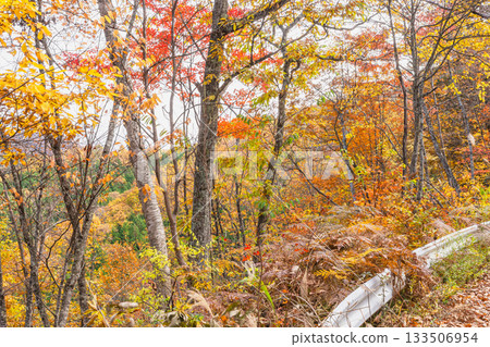 251106 Norikura Youth House z240 133506954