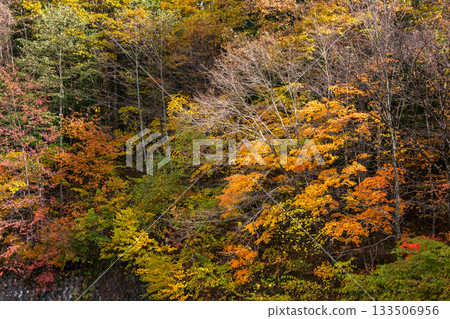 251106 乘鞍青少年中心 z255 133506956