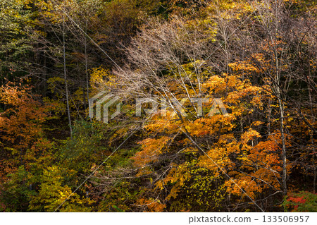 251106 Norikura Youth Center z256 133506957