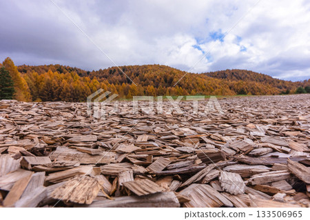 251106 Norikura Youth House z558 133506965