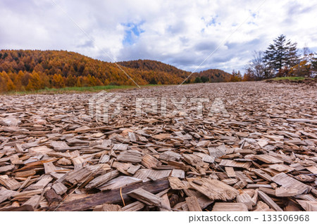 251106乘倉青年之家z561 133506968