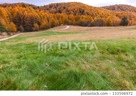 251106 乘倉青年之家 z567 133506972