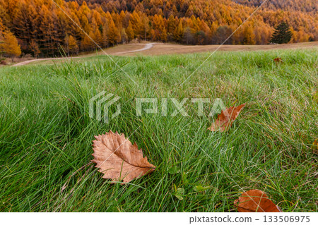 251106 Norikura Youth House z578 133506975