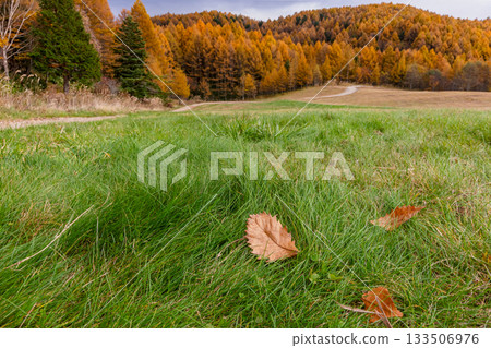 251106 Norikura Youth House z590 133506976